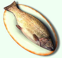 kalciferol
