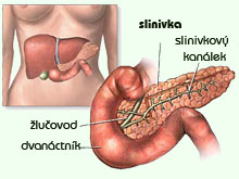 slinivka - cukrovka